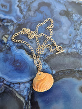 Load image into Gallery viewer, Clam Pearl Resin Silver Necklace
