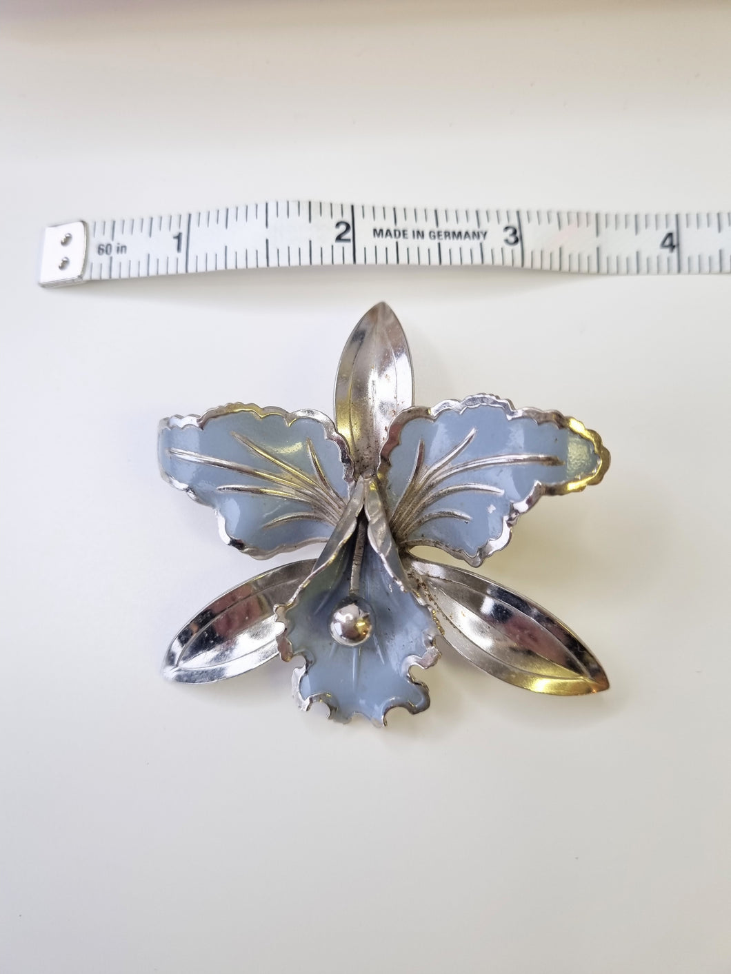 Blue Pansy